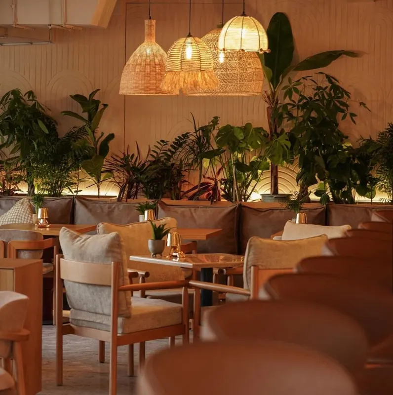 Warm lounge with sofas and plants